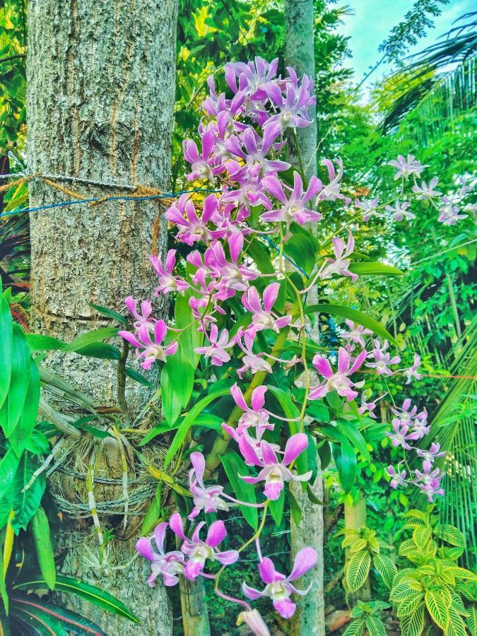 Ameena Homestay Tangalle Exteriér fotografie